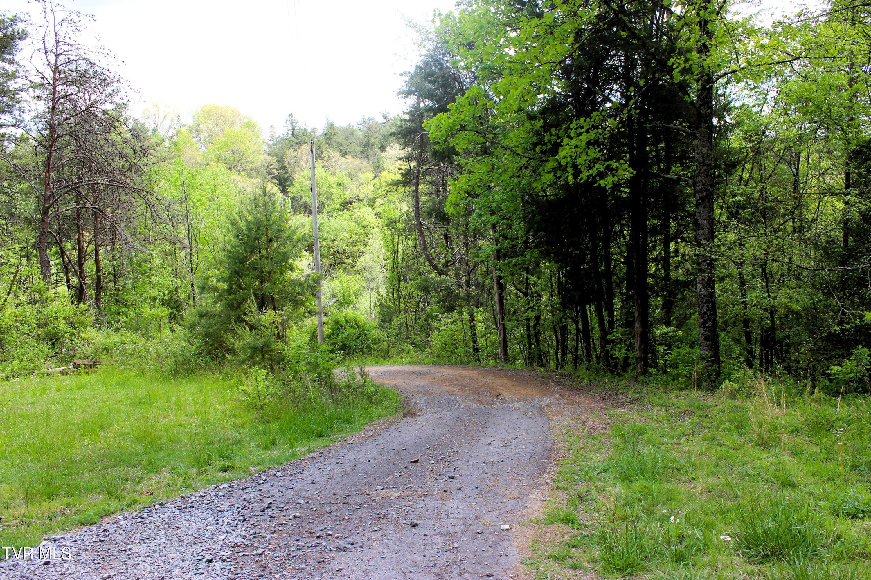 Image 3: Driveway