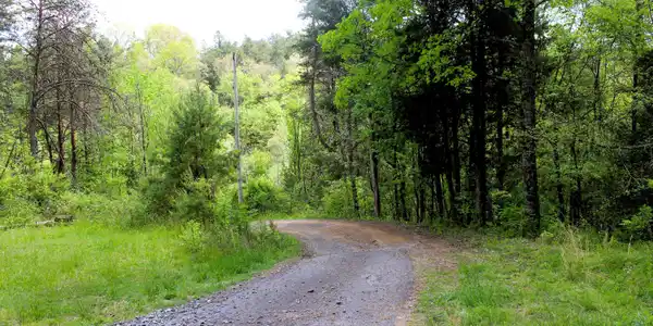 Image 3: Driveway