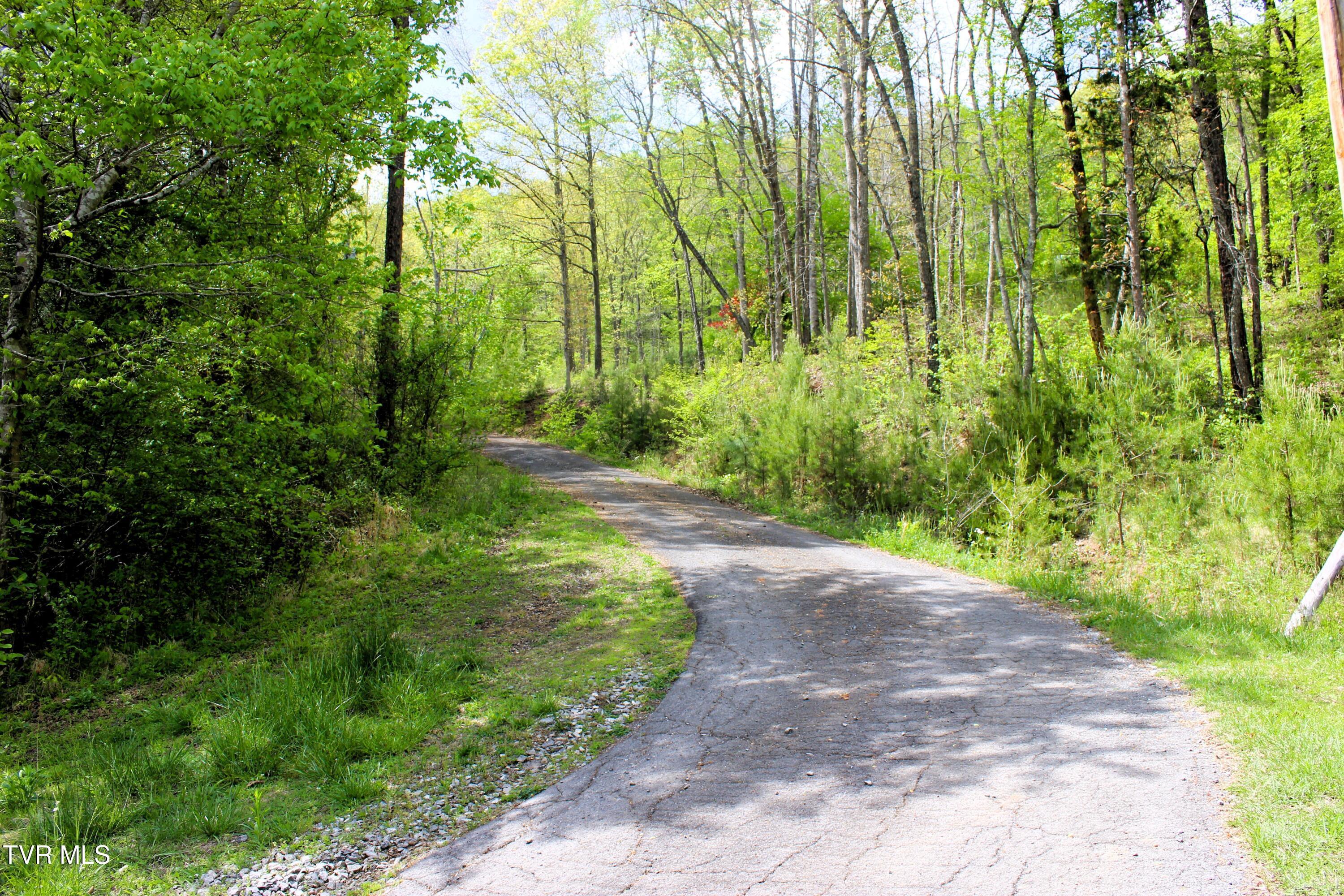 Image 4: Driveway