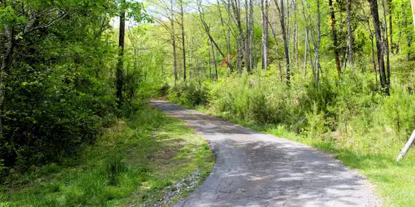 Image 4: Driveway