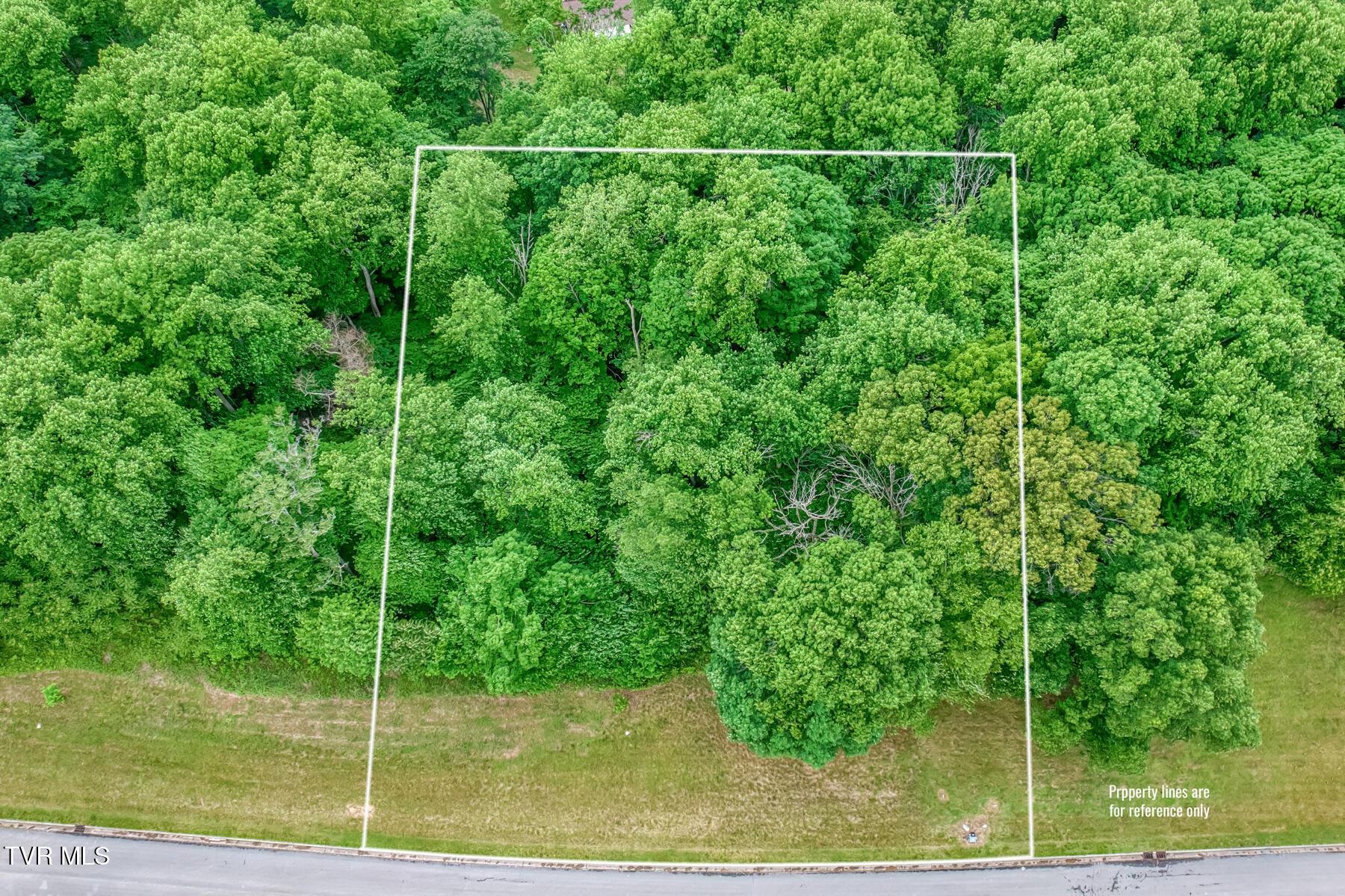 Image 2: Lot 44 Chimney Top Ln-2