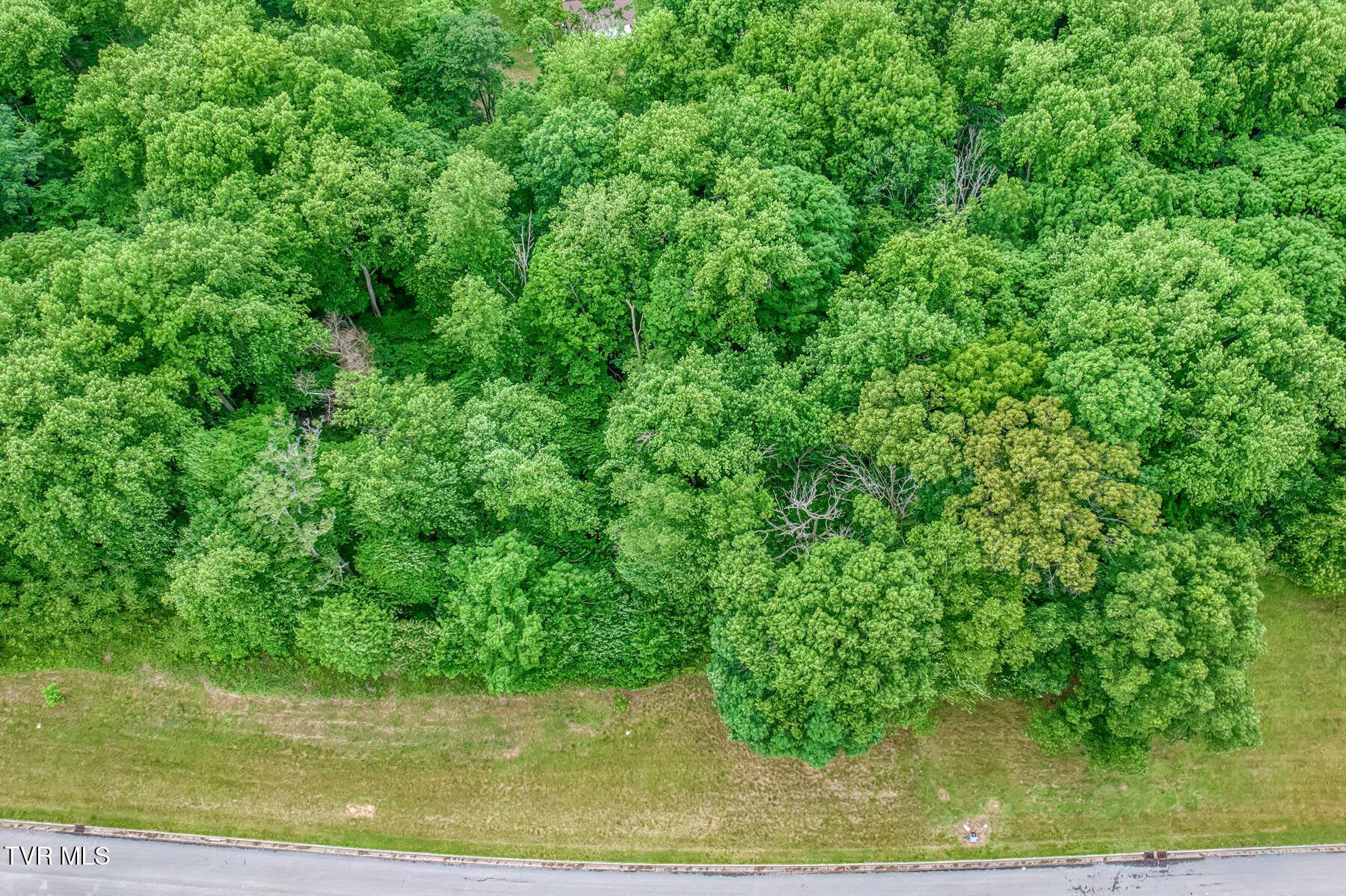 Image 3: Lot 44 Chimney Top Ln-1