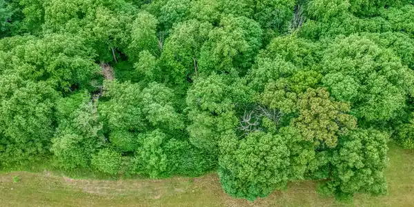 Image 3: Lot 44 Chimney Top Ln-1