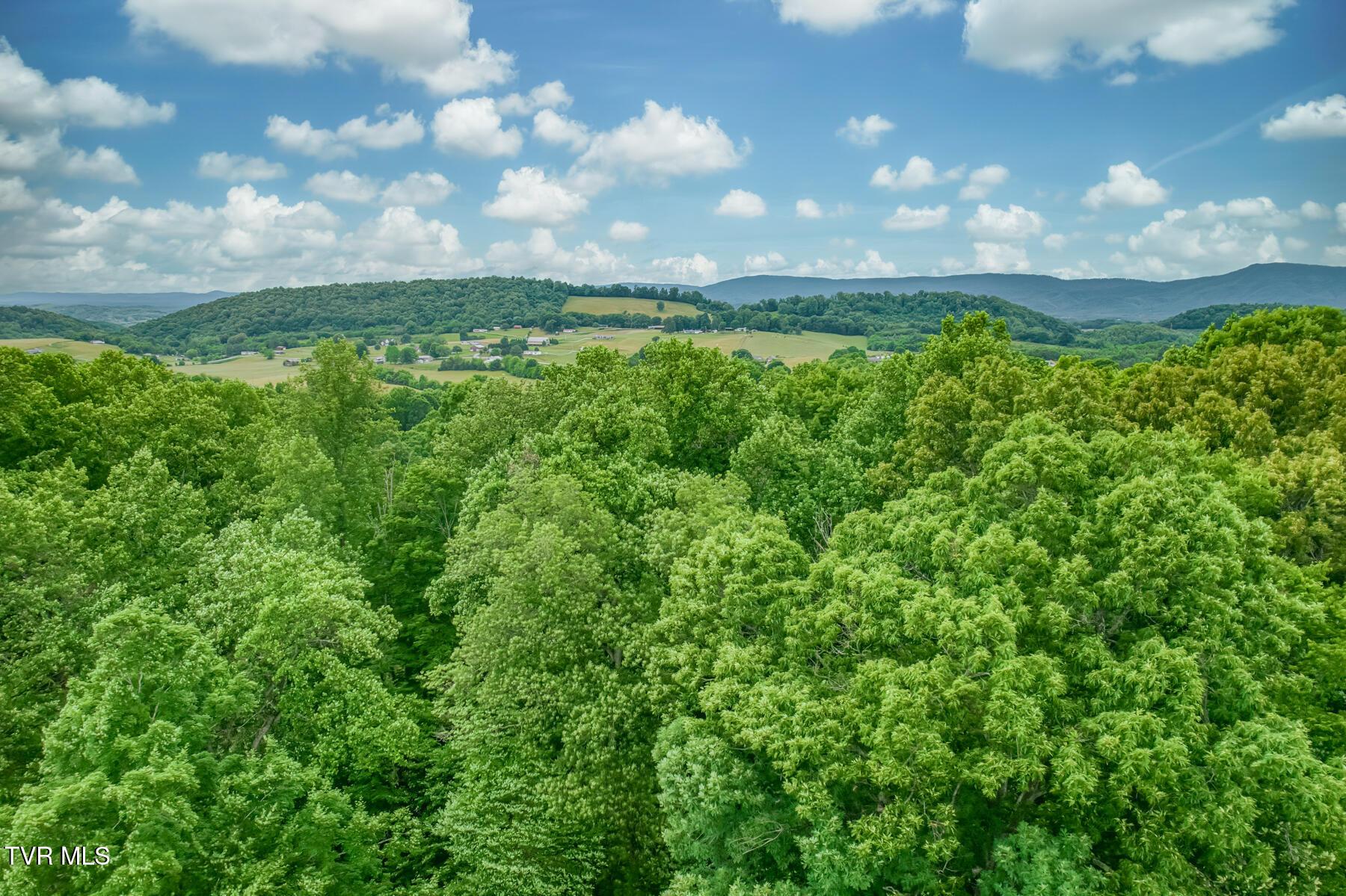 Image 4: Lot 44 Chimney Top Ln-3