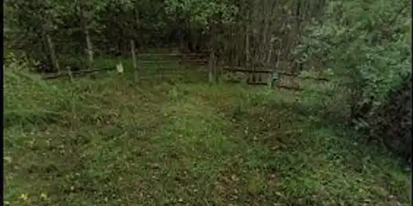 Image 3: *