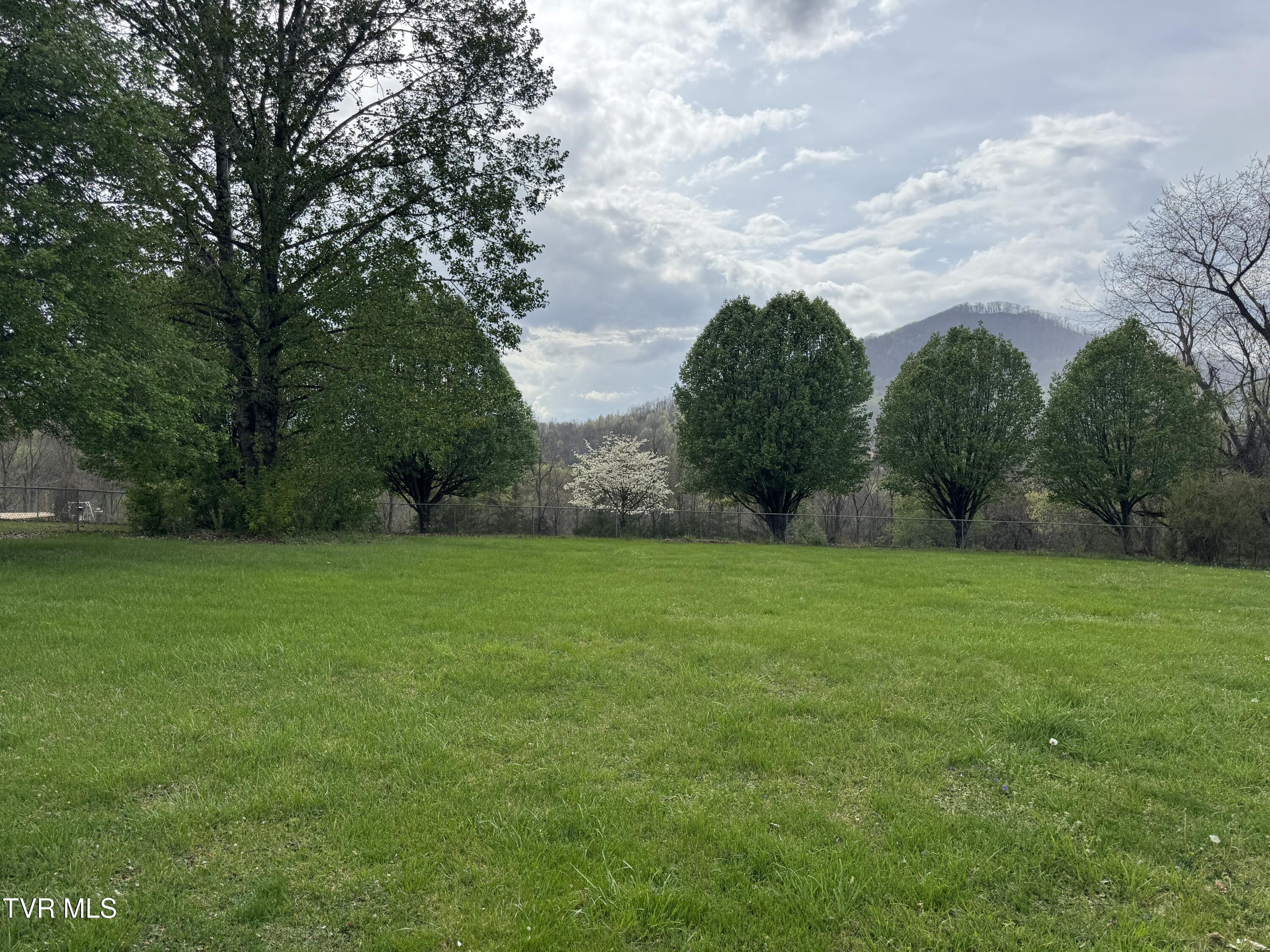 Image 2: IMG_5835