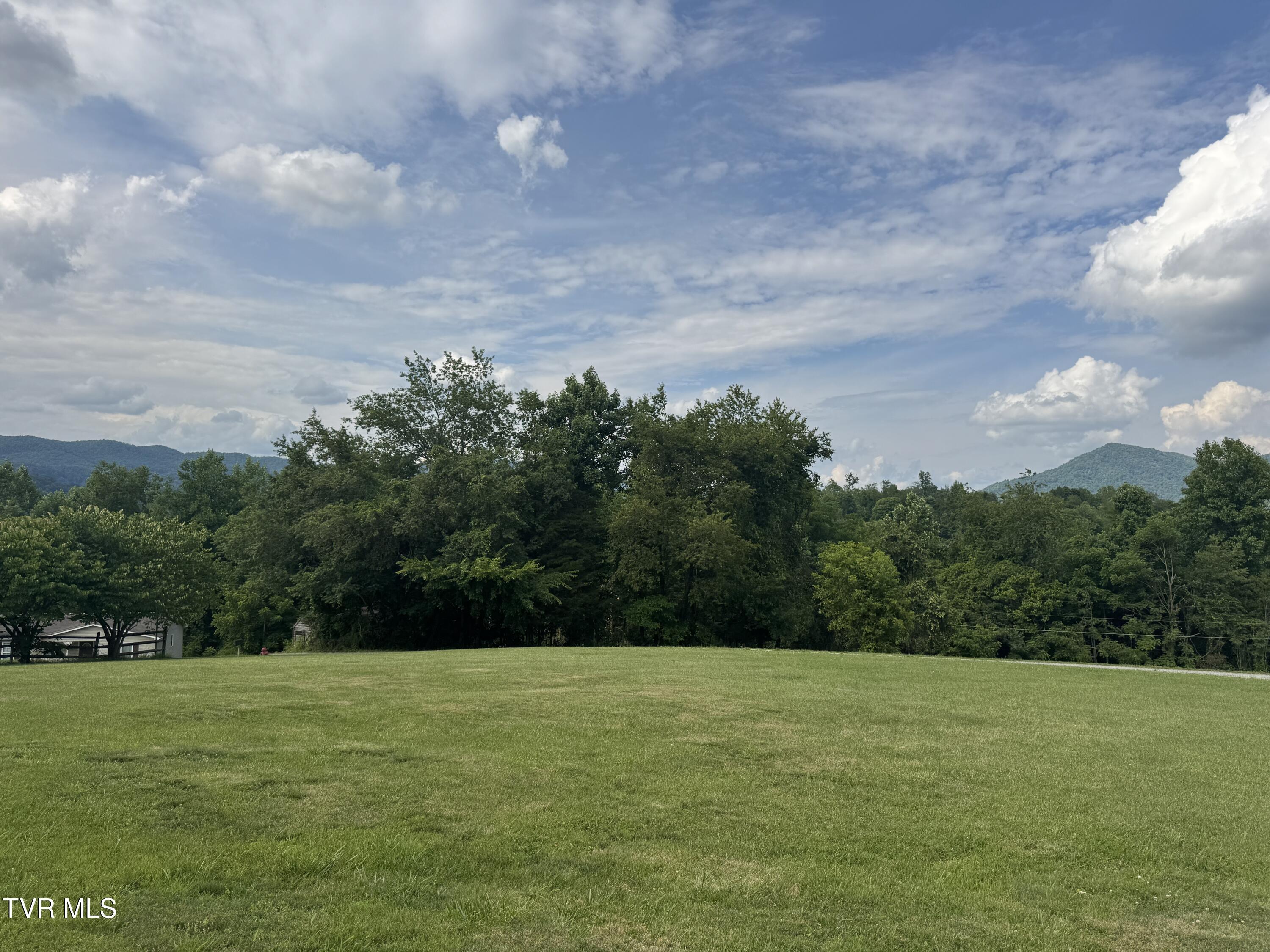 Image 4: IMG_6690