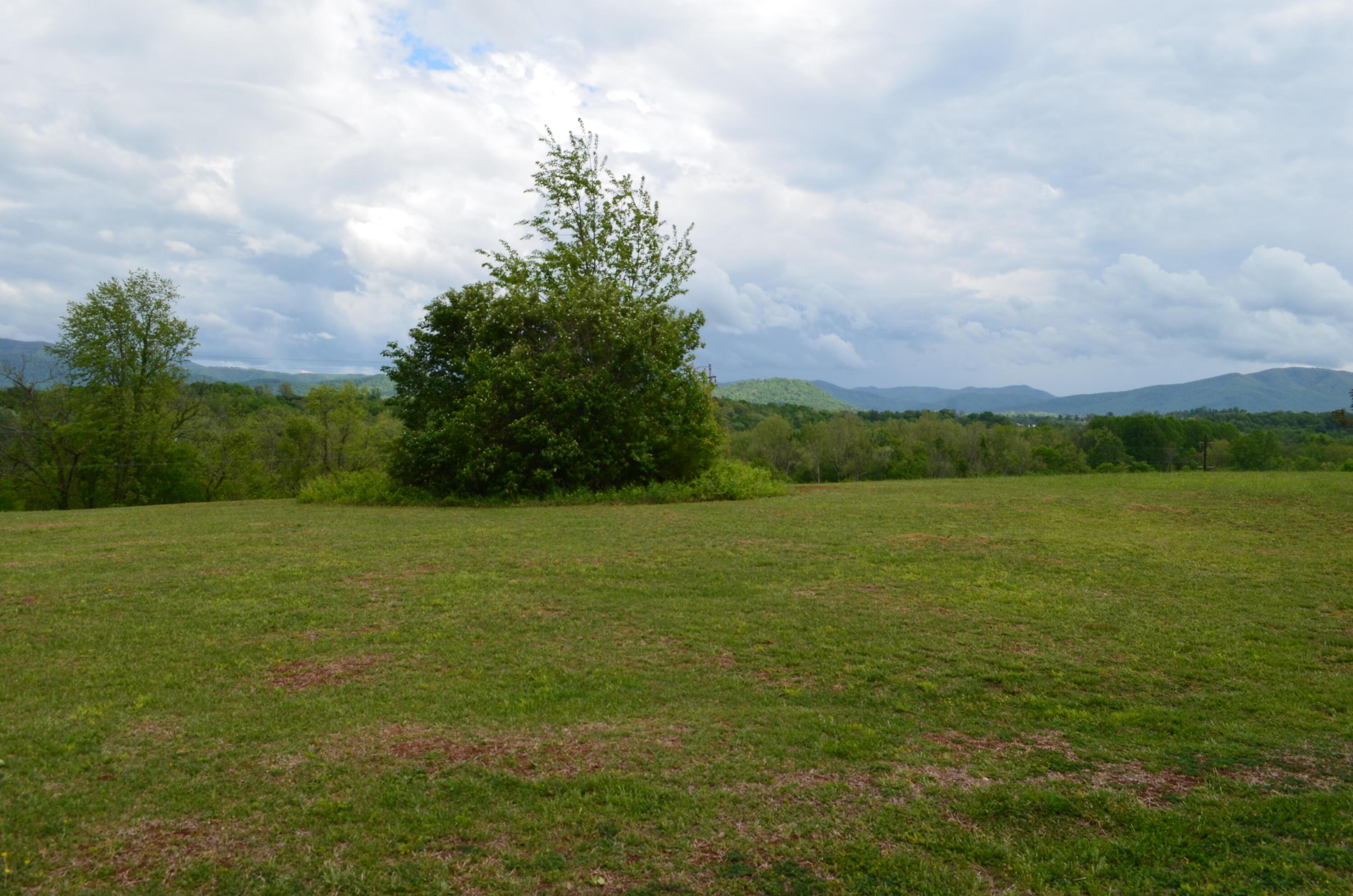 Image 2: DSC_0389