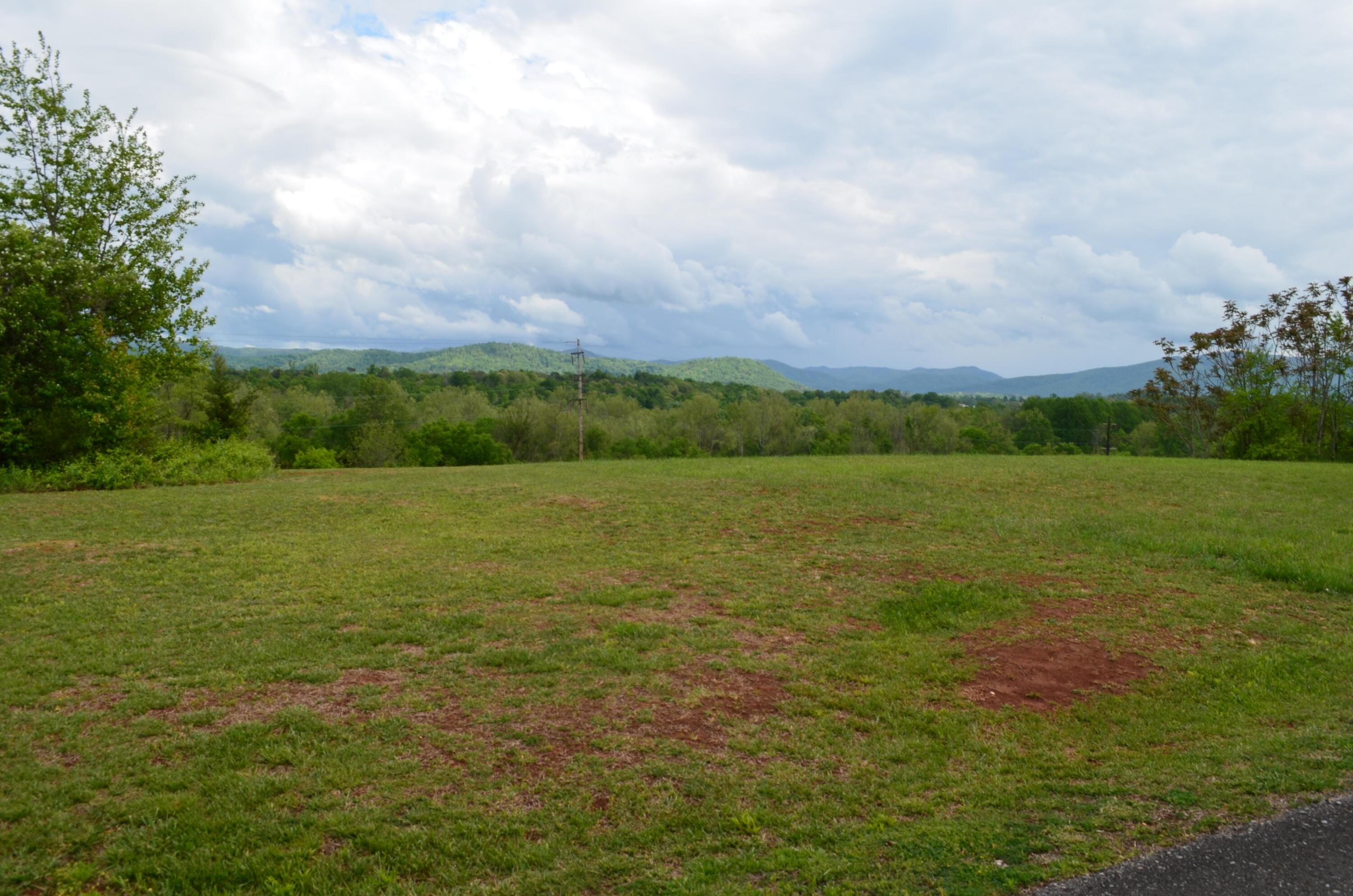 Image 3: DSC_0390