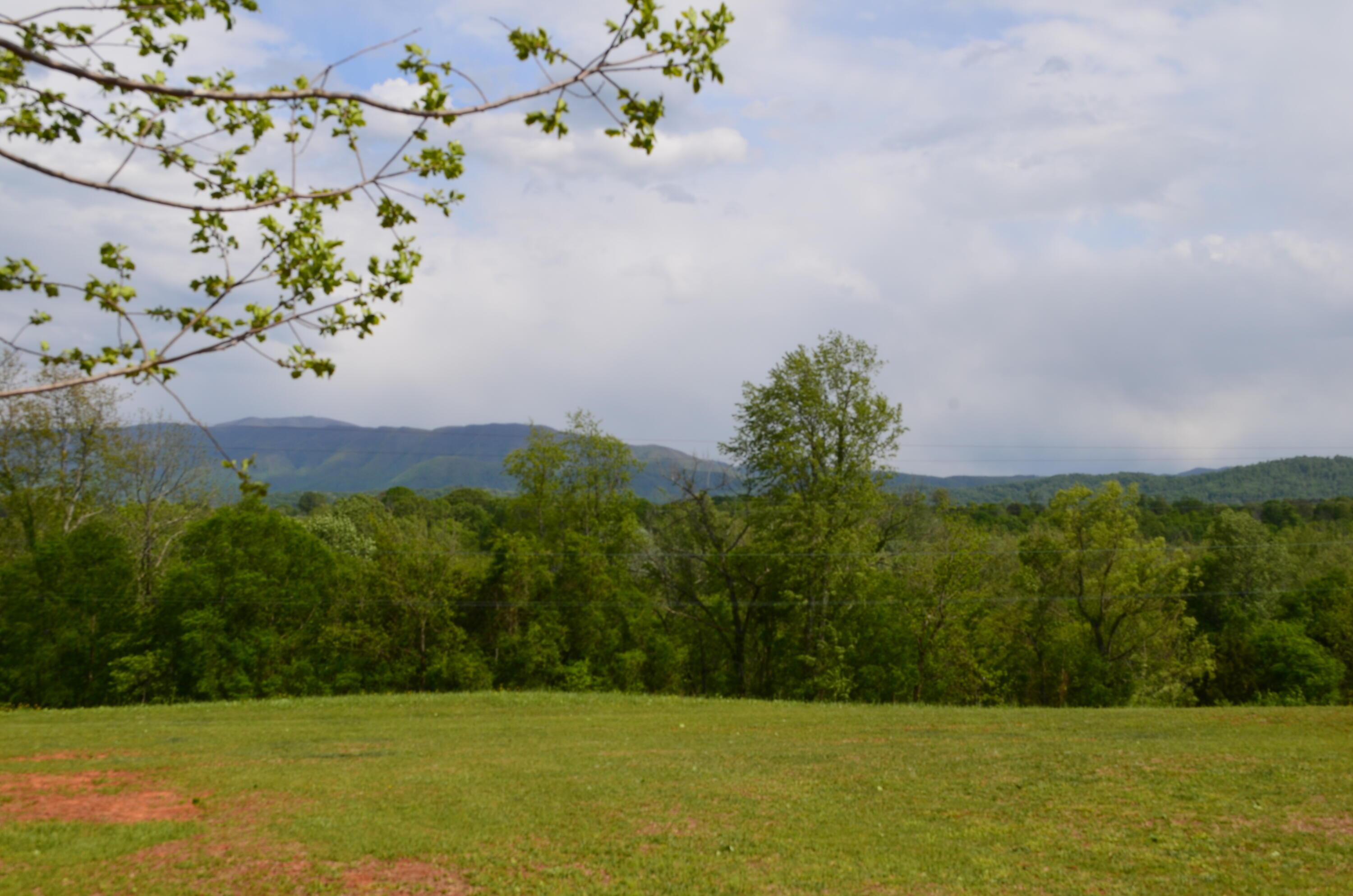 Image 4: DSC_0392