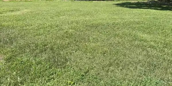 Lot 2 Powder Branch Road
