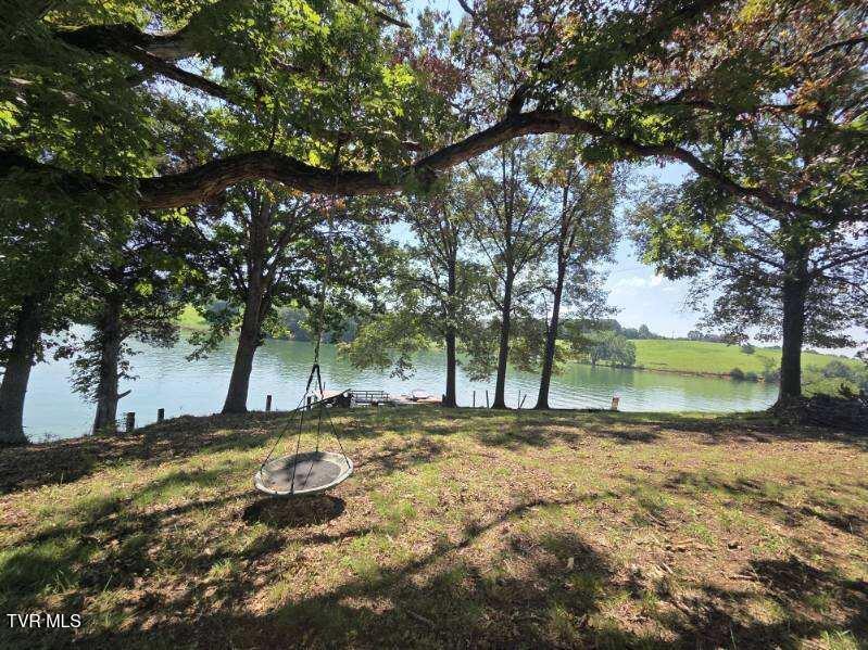 Image 3: image000005