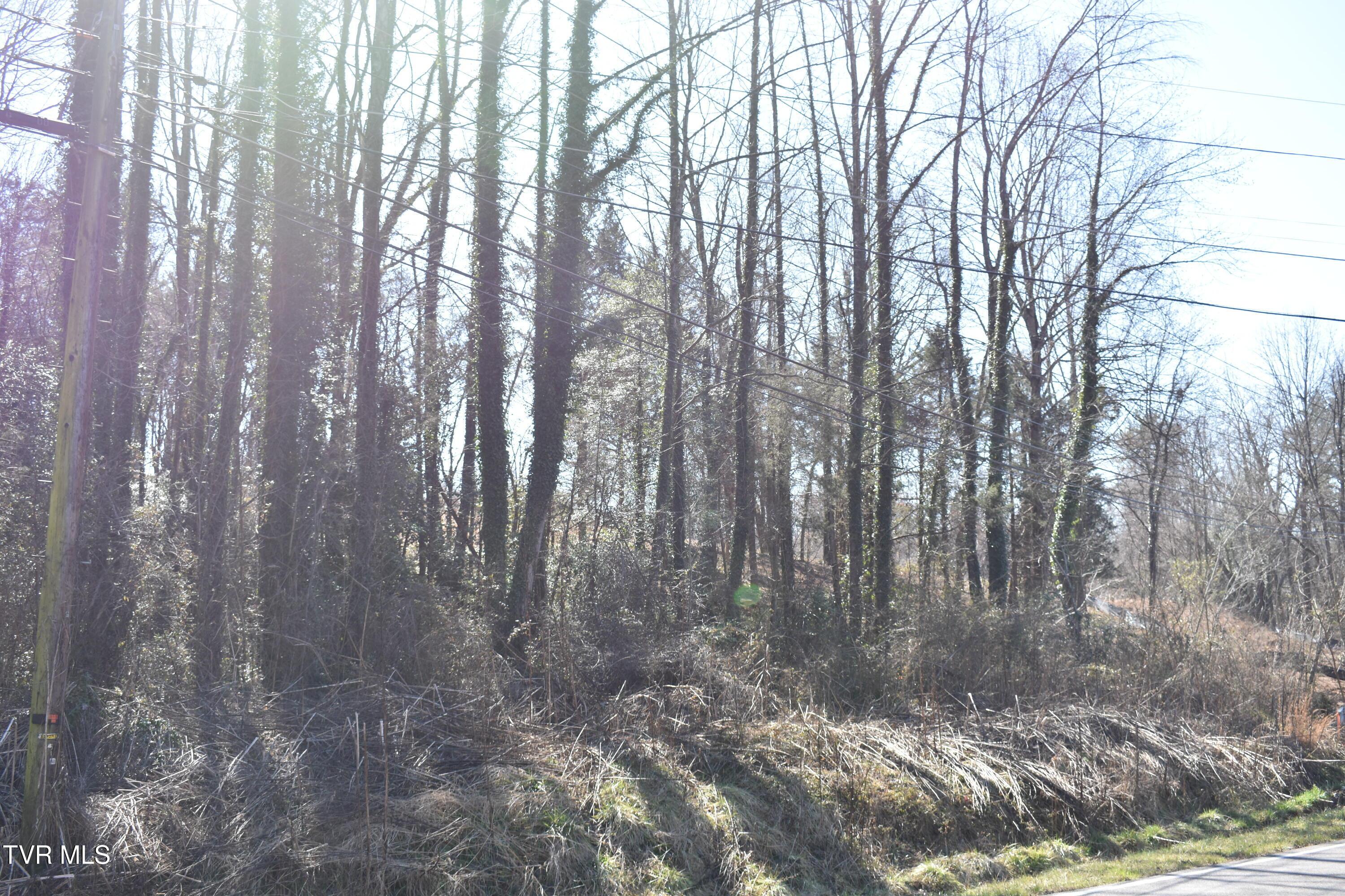 Image 4: DSC_0185
