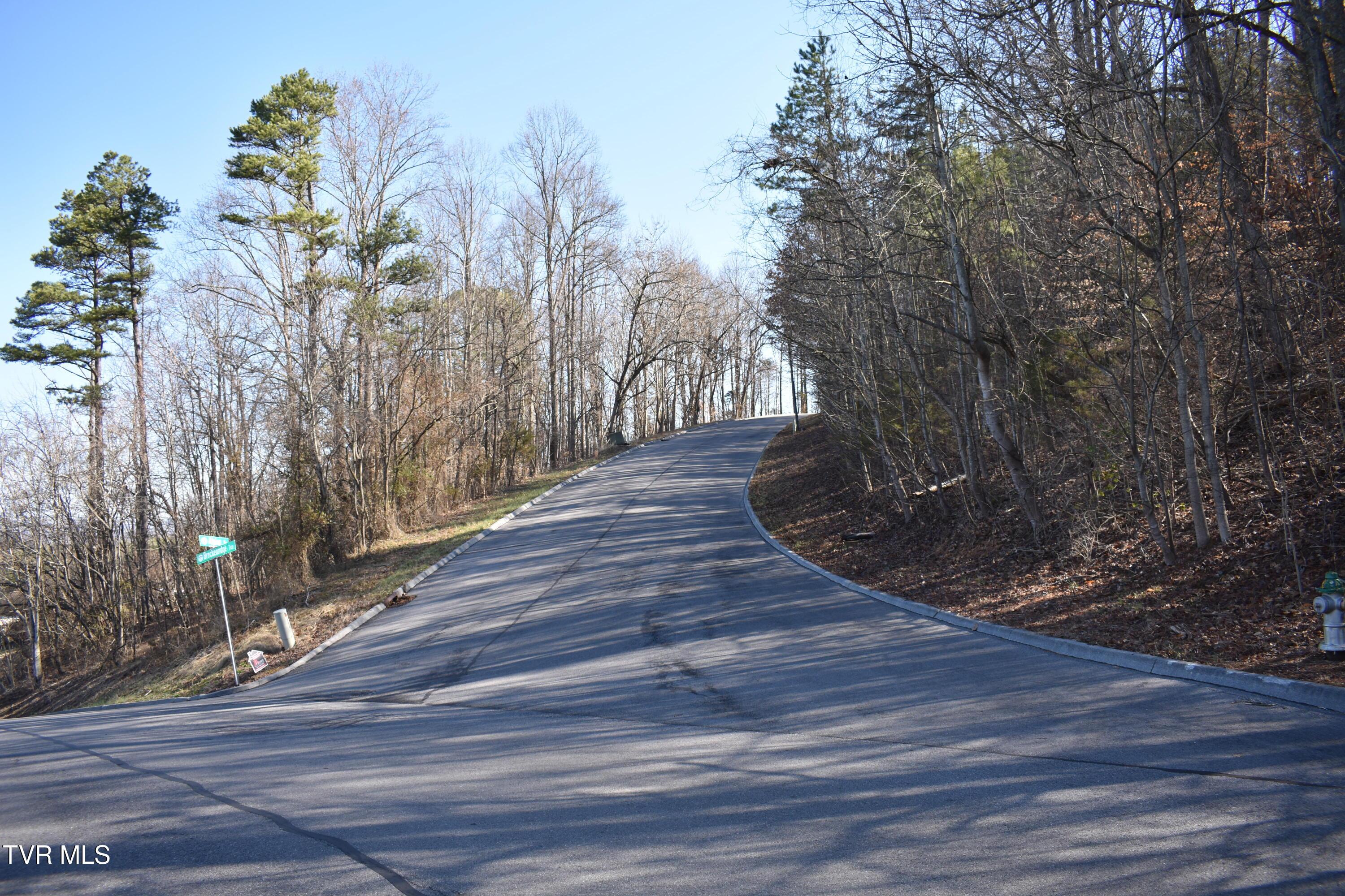 Image 4: 2026-02-28 12.23.20