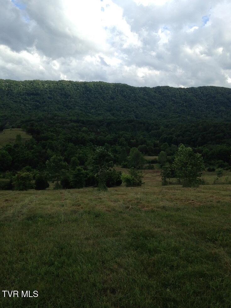 Image 1: image2