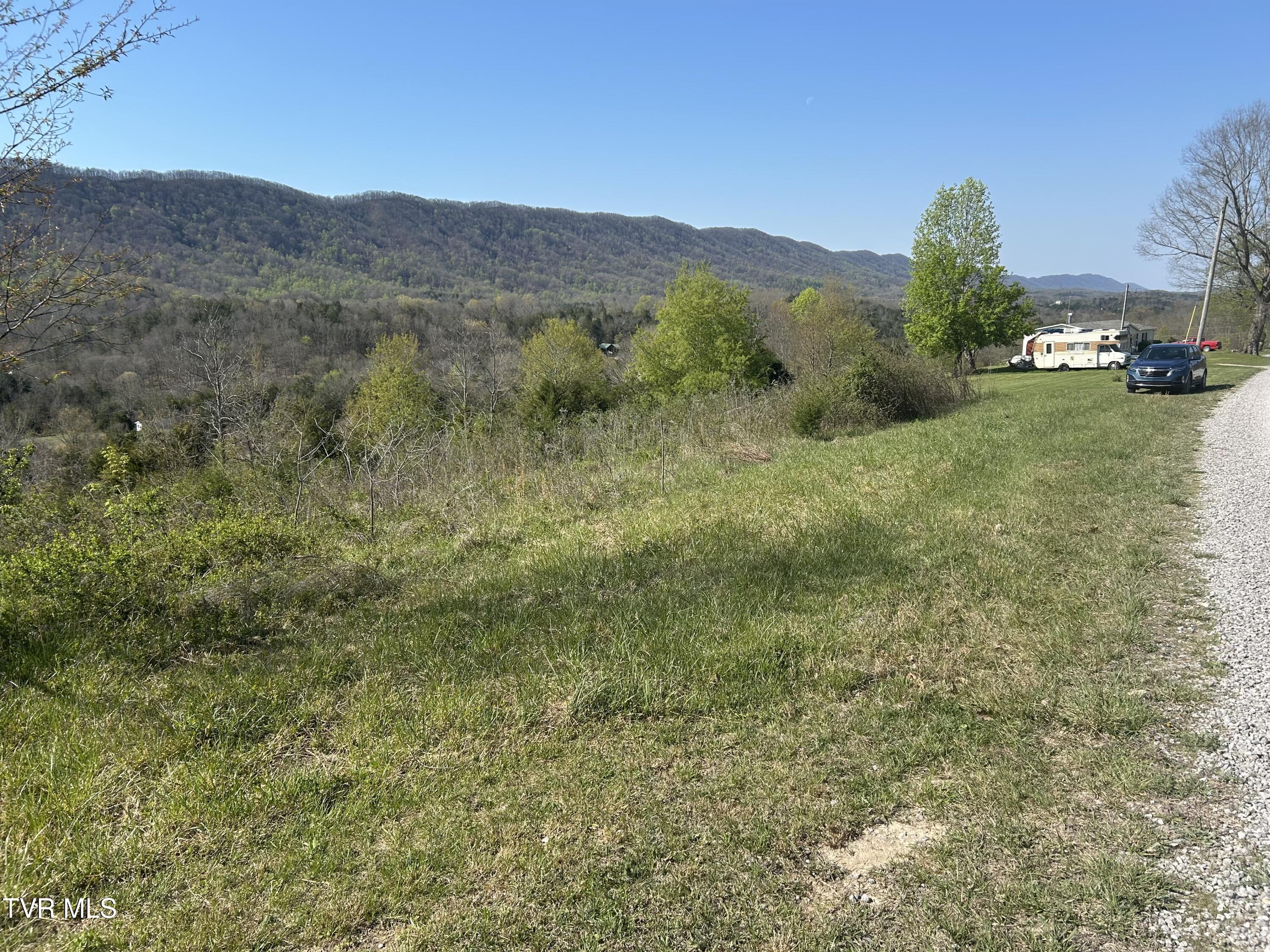 Image 3: IMG_0299