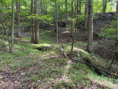 0 Cane Mountain Lane
