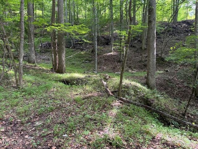 Image 1: IMG_0315
