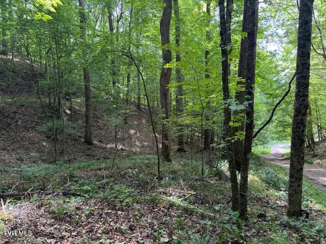Image 2: IMG_0316