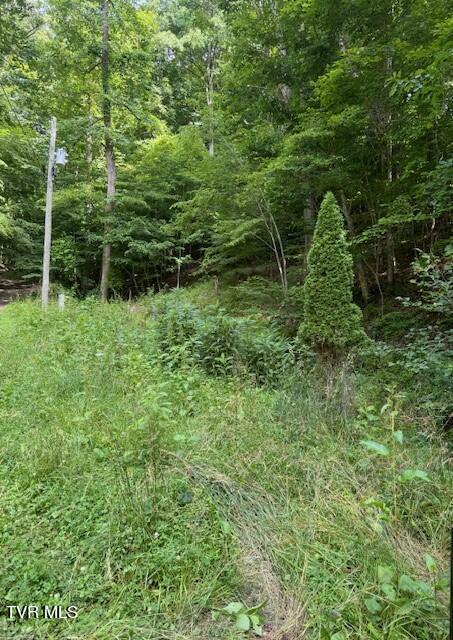 Image 3: IMG_0319