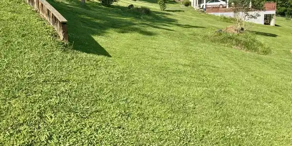 Image 4: 4