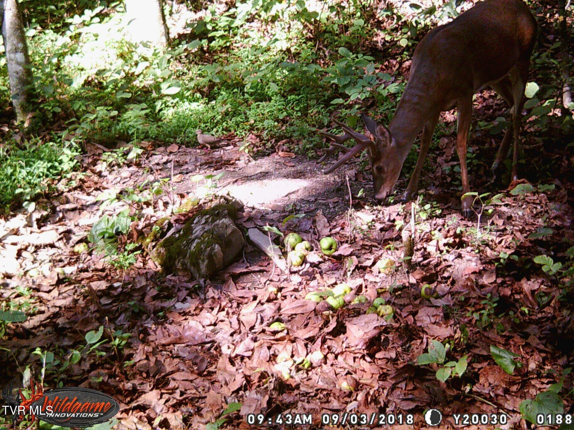 Image 3: 41500629_1978230952197975_82135674582550