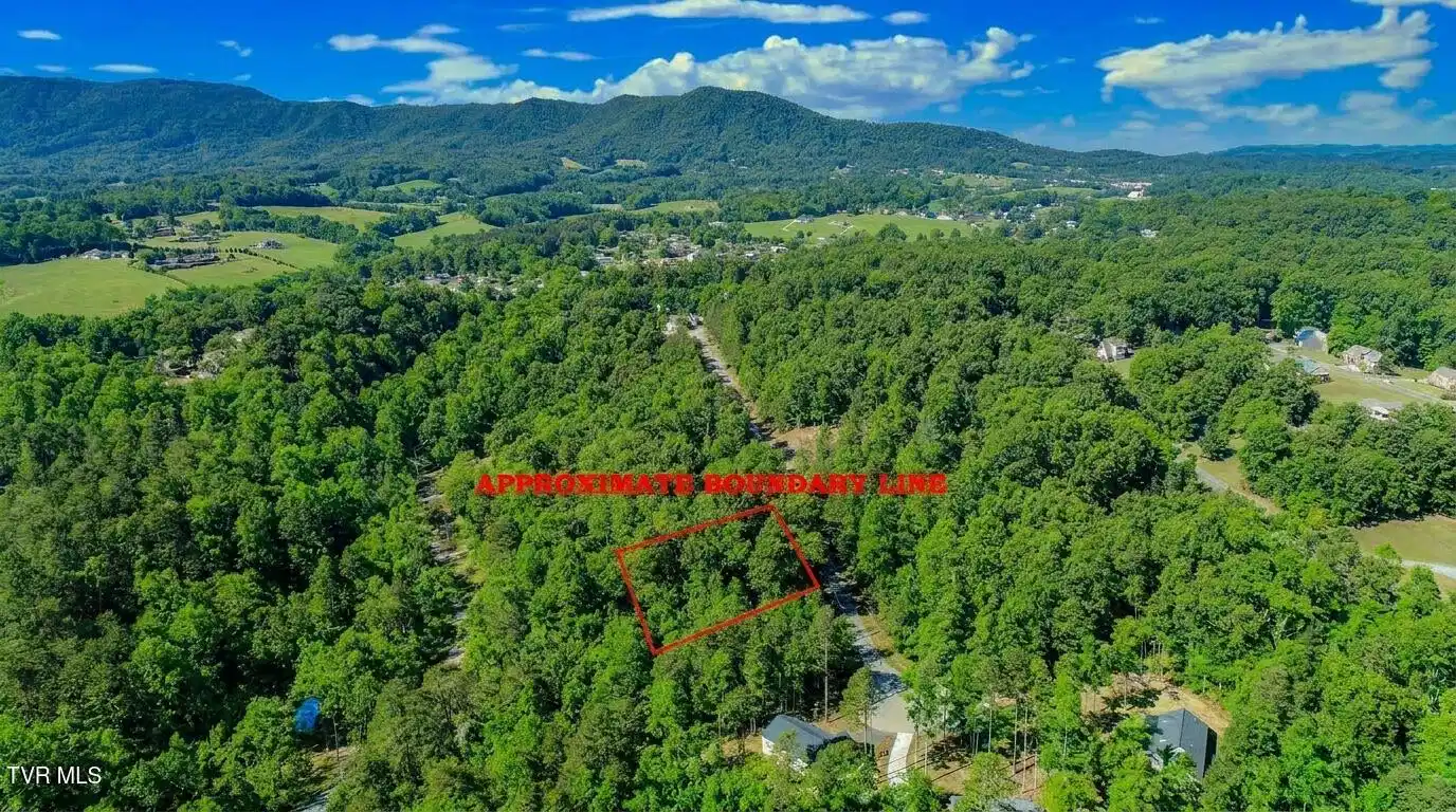 Image 1: 1ai