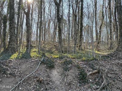 Lots 1-4 Bishop Hollow Road