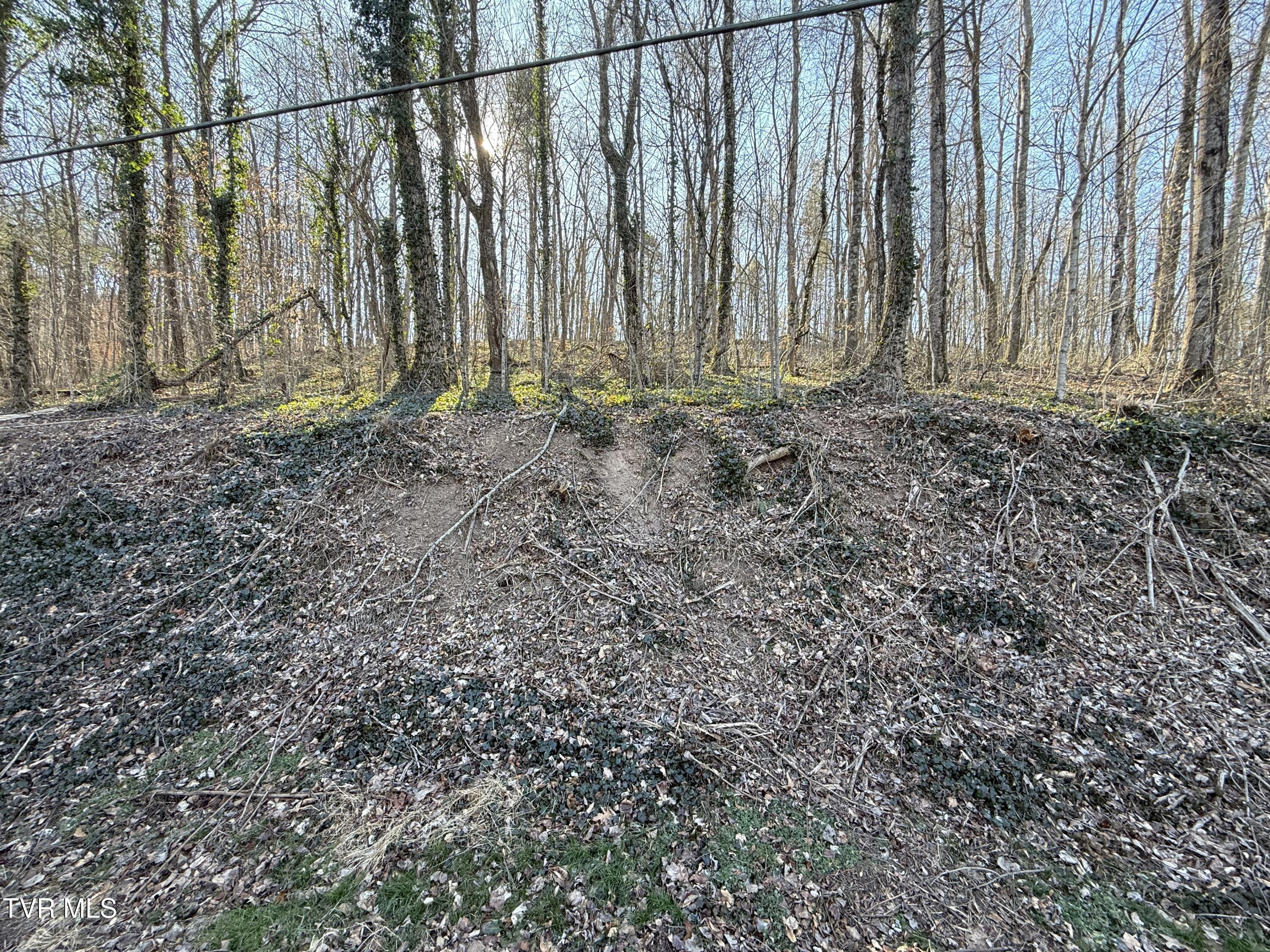 Image 4: IMG_1680