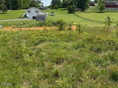 3593 Highway 390