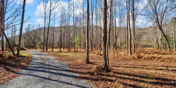 Tbd Mcinturff Springs Road