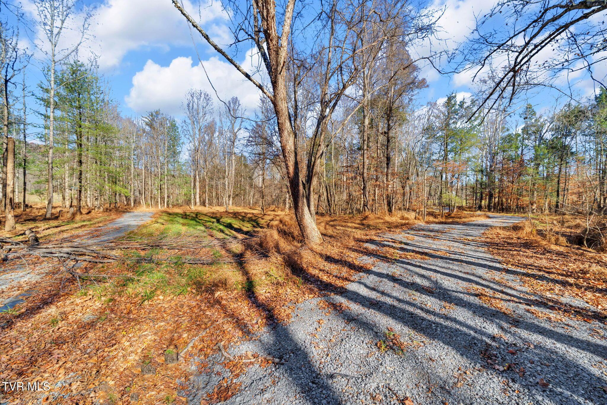 Image 3: 16-web-or-mls-460 McInturff Rd-3 (2)