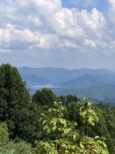 1209 Mays Ridge Road