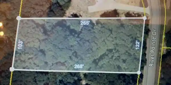 Image 2: Lot 7