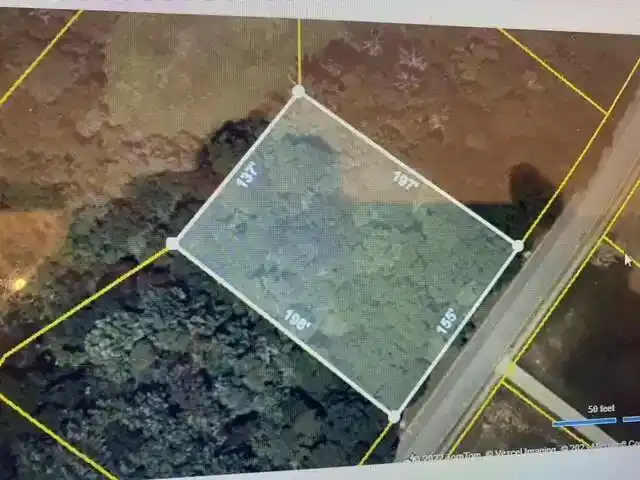 Image 1: Lot 21