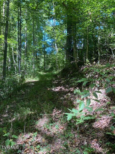 Image 1: trails