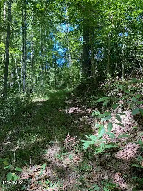 Image 1: trails