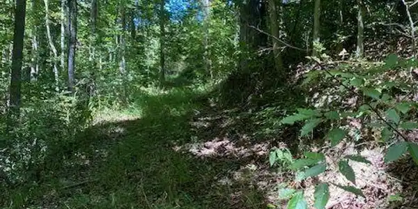Tbd Hurricane Road