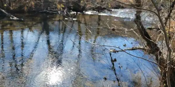 Image 2: Joins Wallens Creek