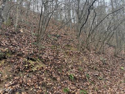 0 Fox Hollow Lane