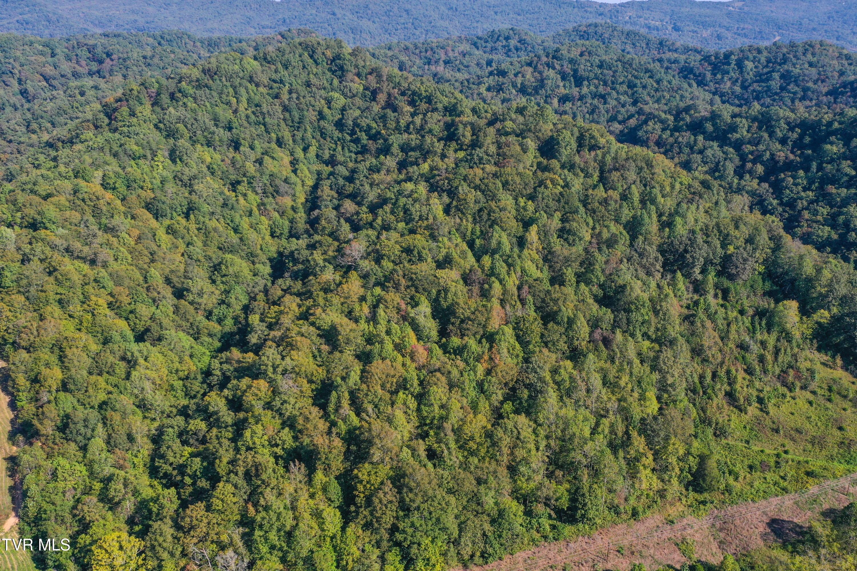 Image 3: DJI_0852