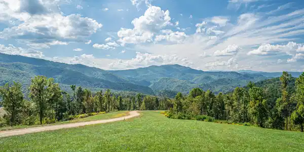 92 Tester Trail