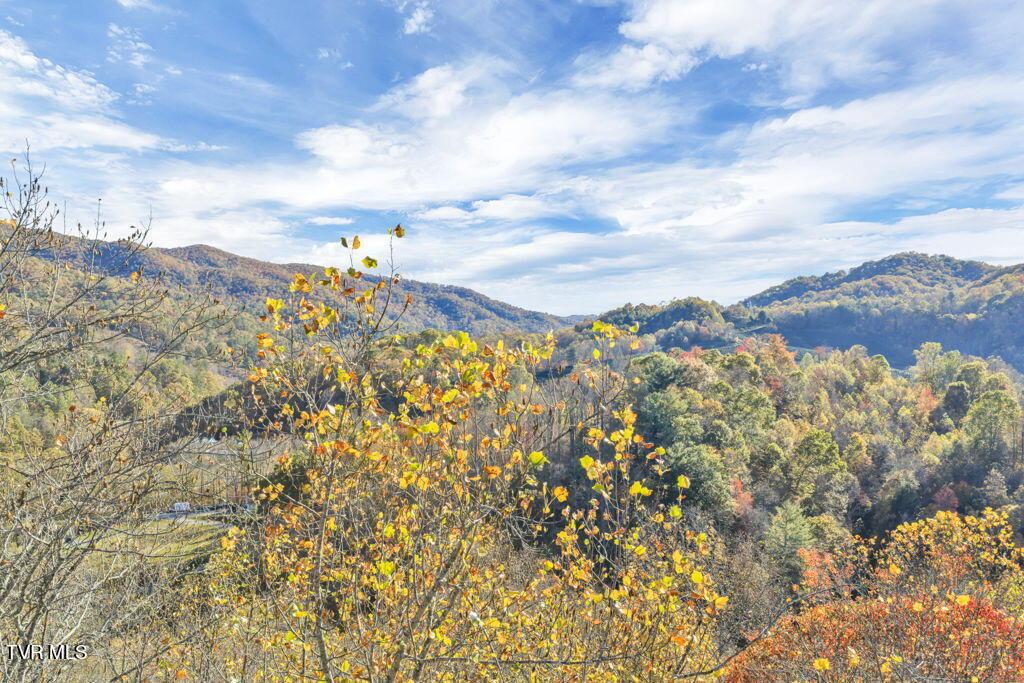 Image 3: 3-web-or-mls-DJI_20251021095657_0029_D