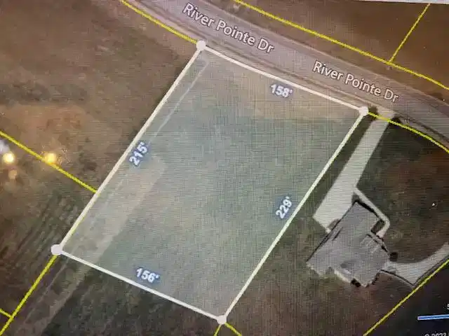 Image 1: Lot 96