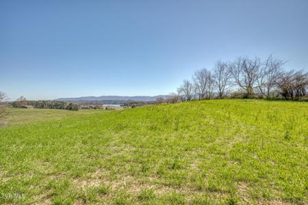 867 Highway 44