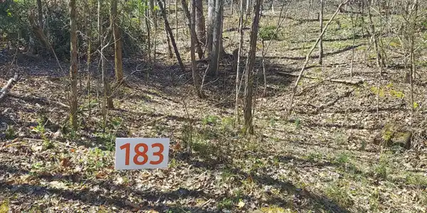 183 Ox Bow
