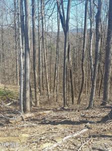 Lot 76 Golf Course Road