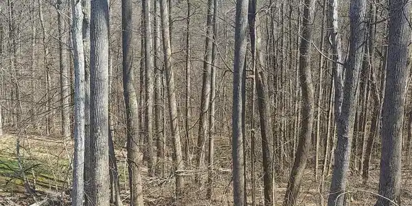 Lot 76 Golf Course Road