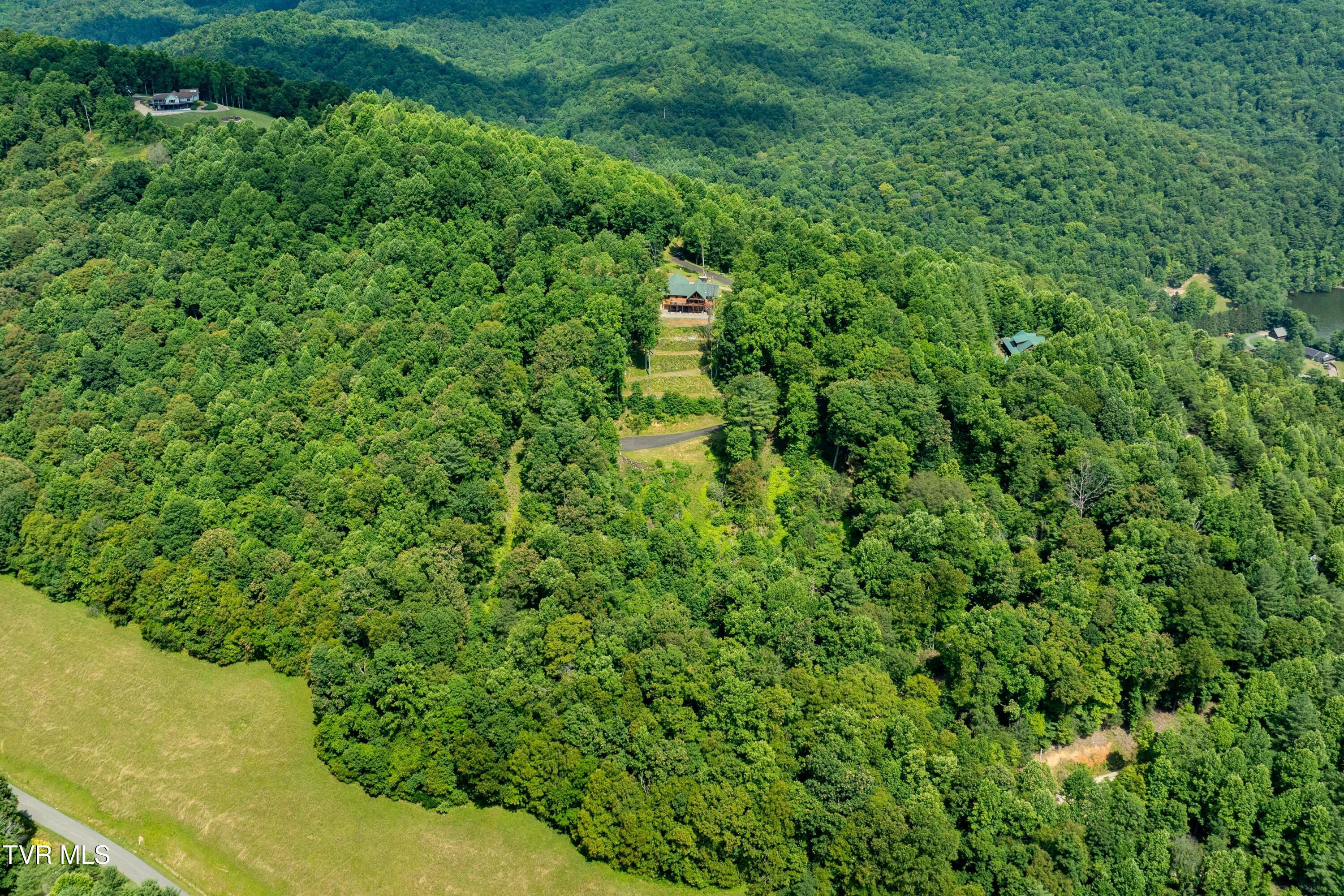 Image 4: Lot 31 (4 of 30)