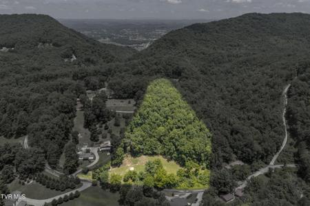 241 Bays Mountain Road
